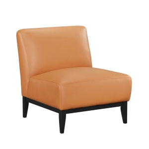 Accent Chair 1129RNG-1