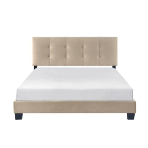 Queen Platform Bed 1350BR-1