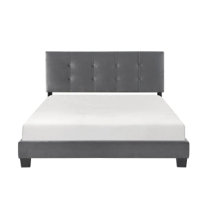 Queen Platform Bed 1350DG-1