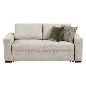 Love Seat with Pull-out Bed and Click Motion Back 8548*22ACLA