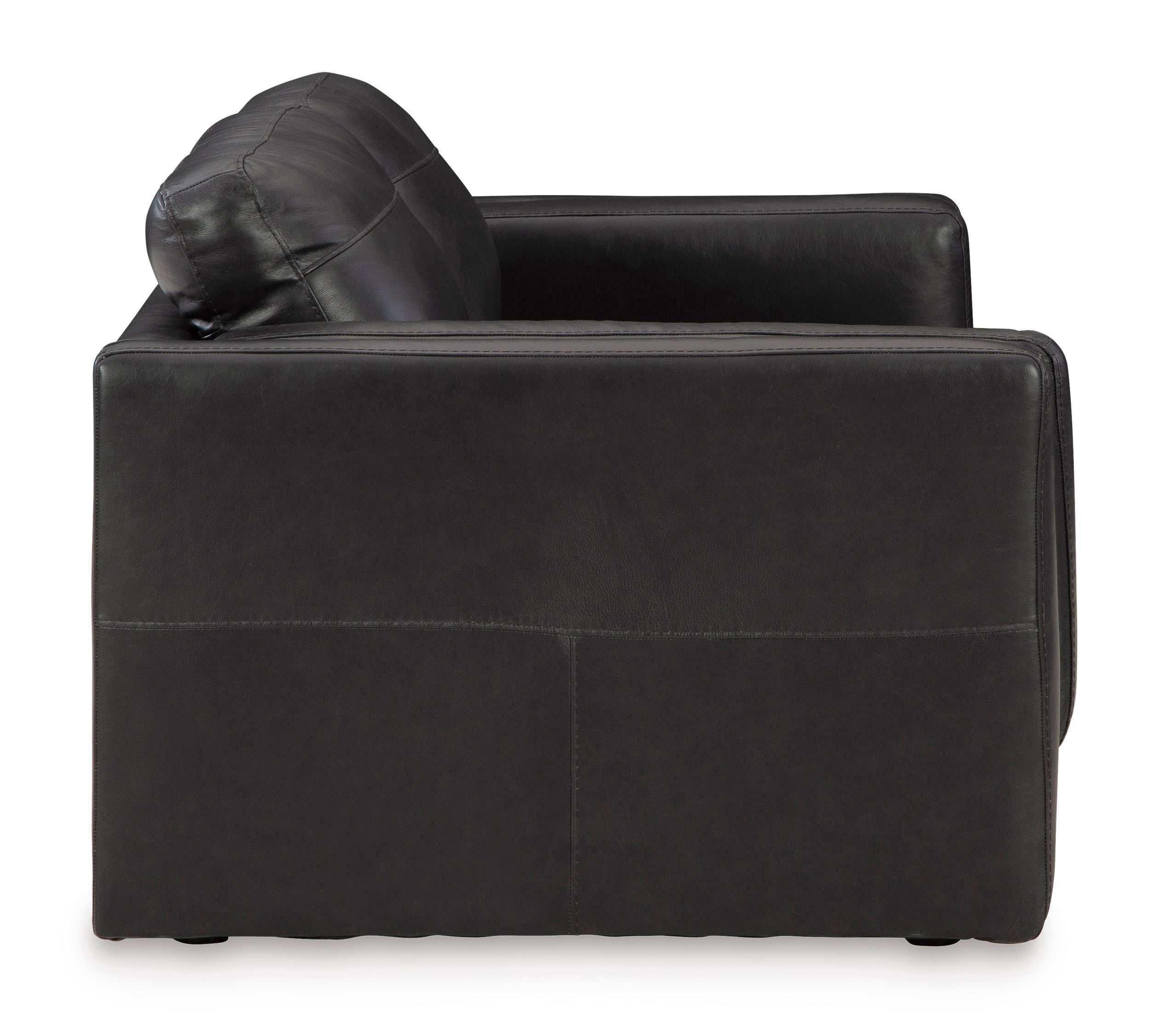 Amiata Onyx Leather Living Room Set / 2pc
