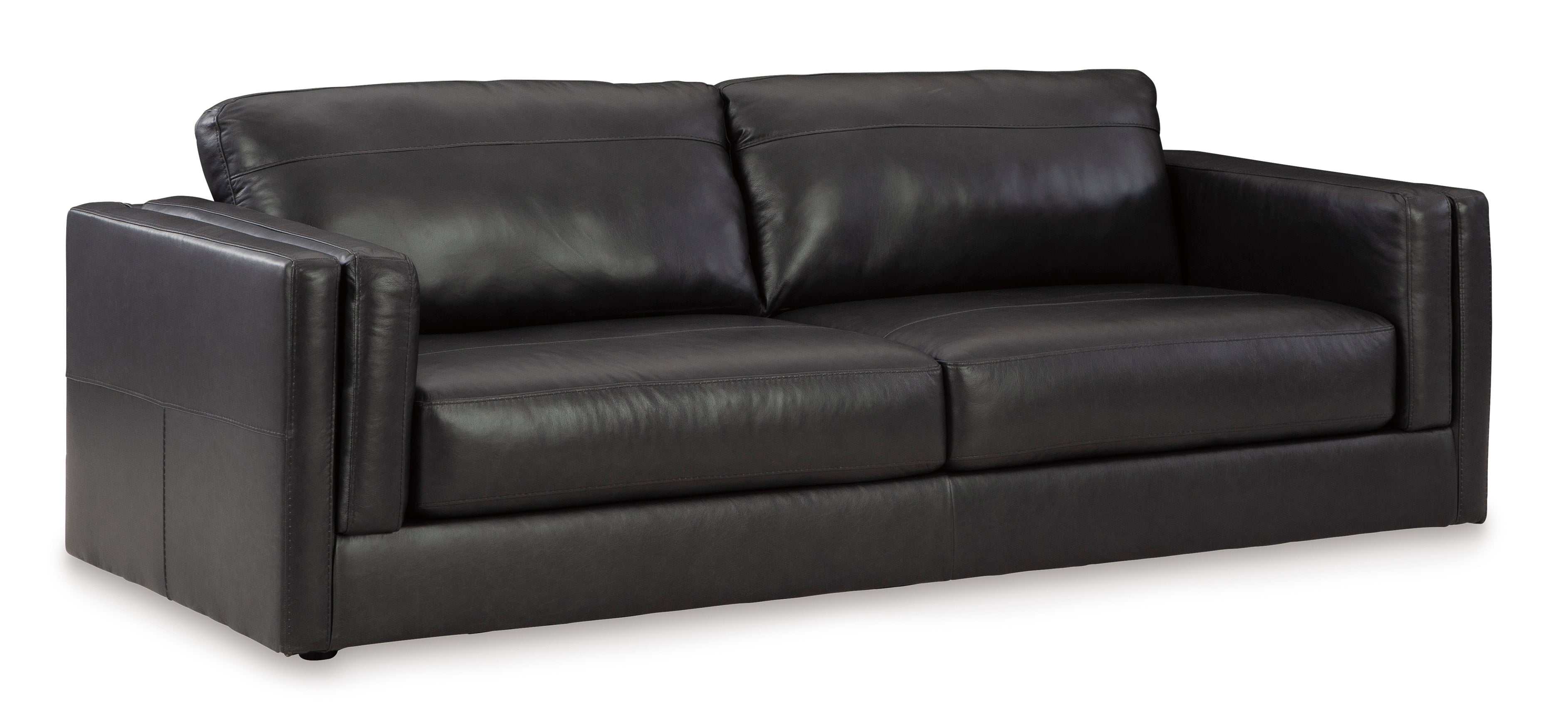 Amiata Onyx Leather Living Room Set / 2pc