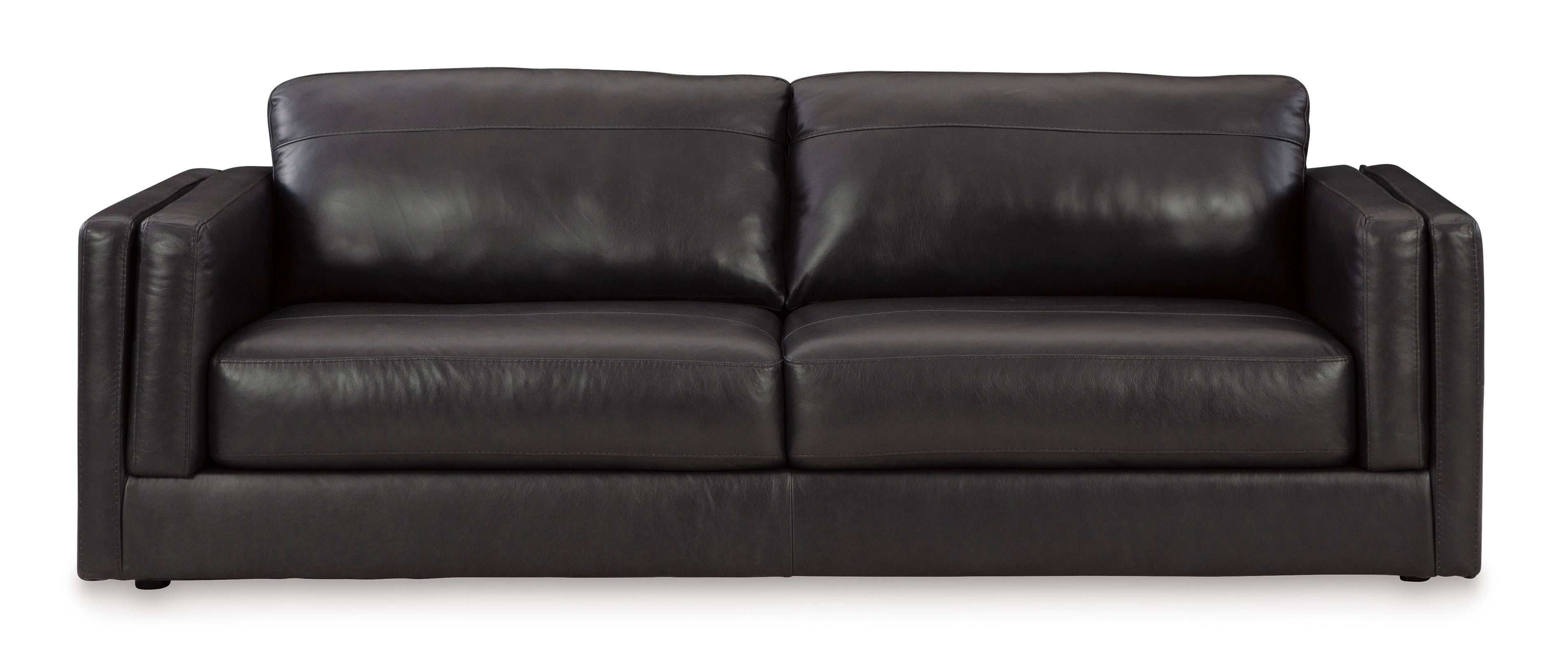 Amiata Onyx Leather Living Room Set / 2pc