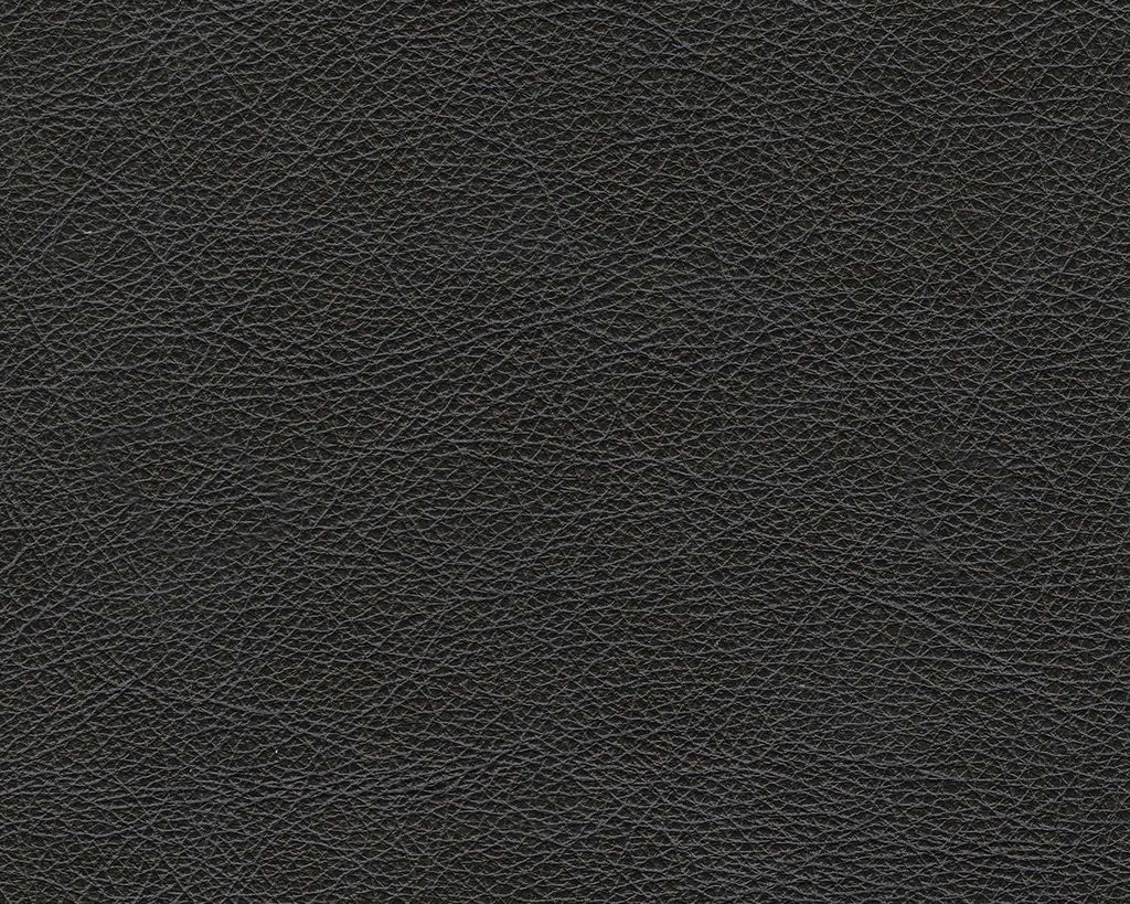 Amiata Onyx Leather Living Room Set / 2pc