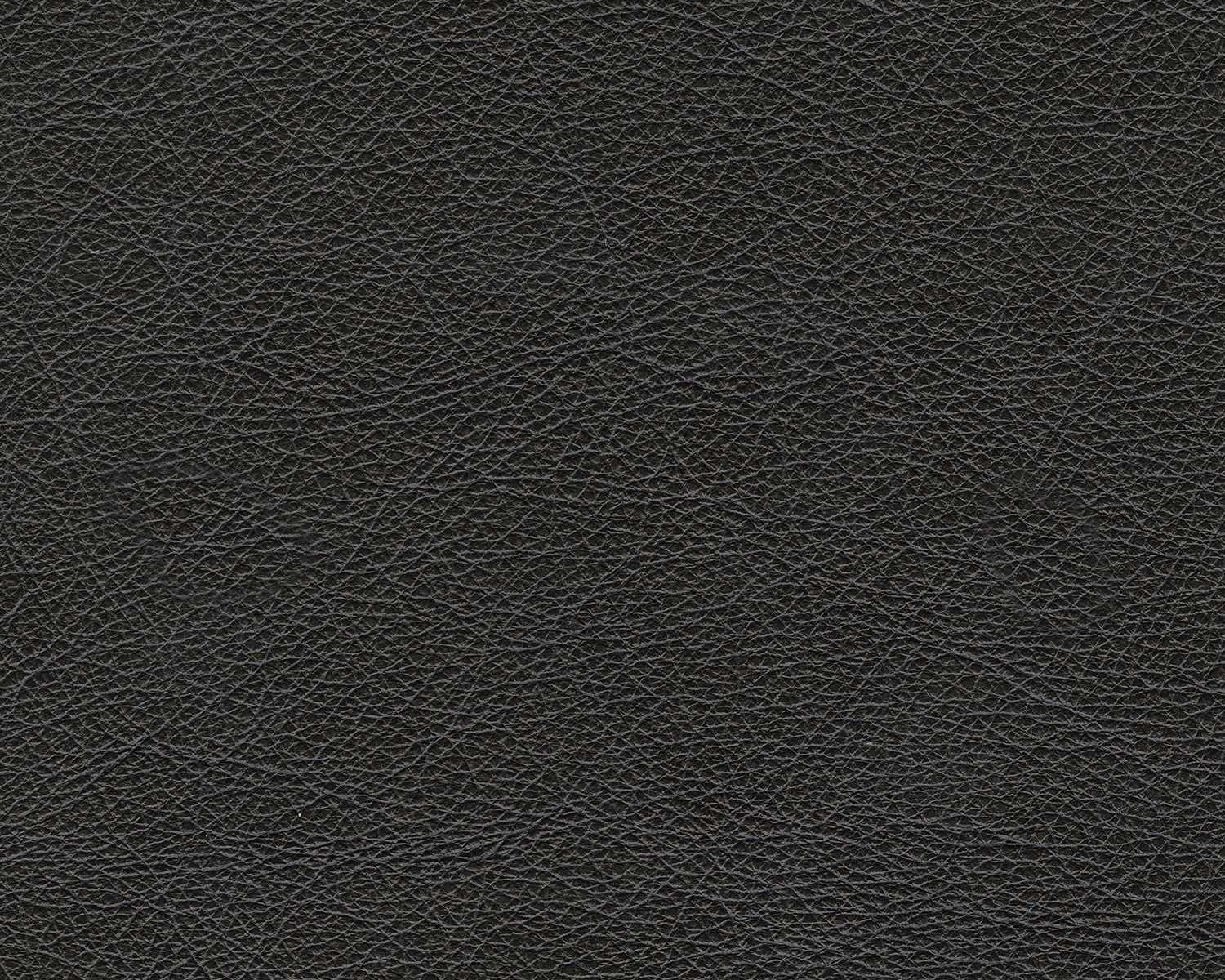 Amiata Onyx Leather Sofa