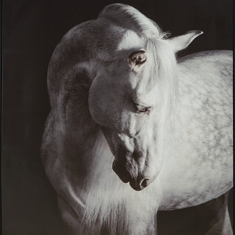 Archerwick Black/White Wall Art