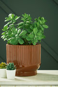 Avalyah Burnt Umber Short Vase