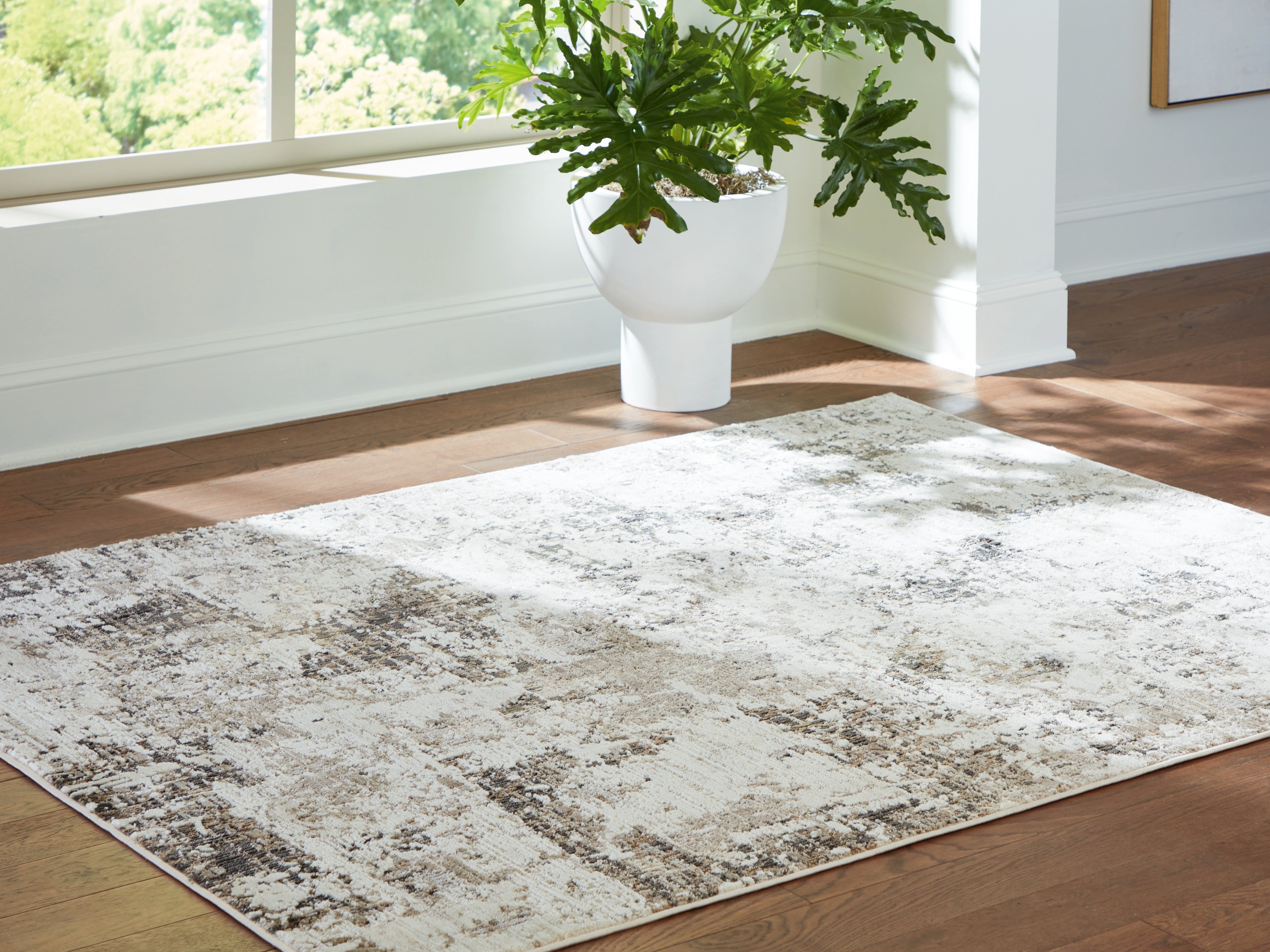 Barricland Multi Medium Rug