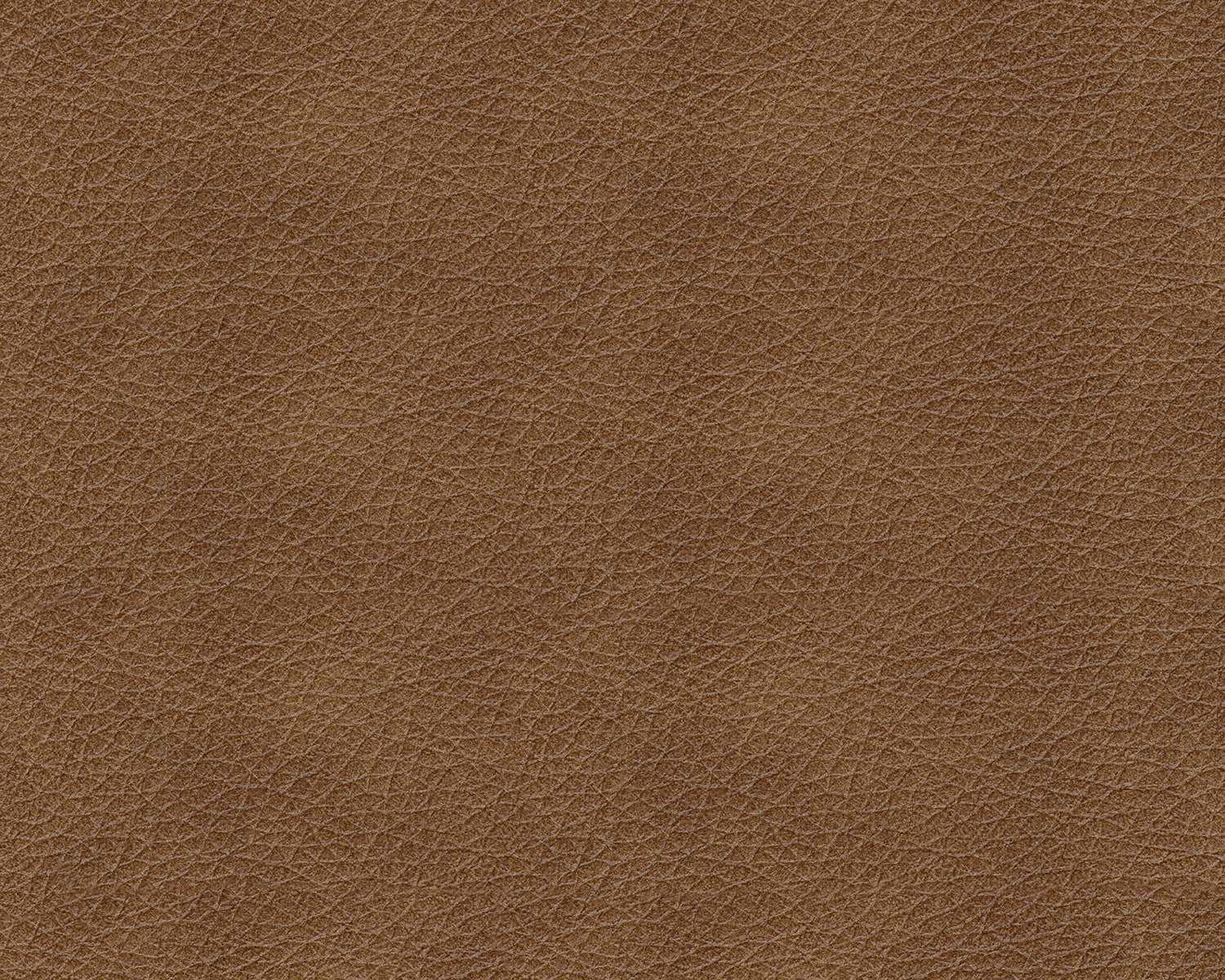 Bolsena Caramel Leather Living Room Set / 2pc