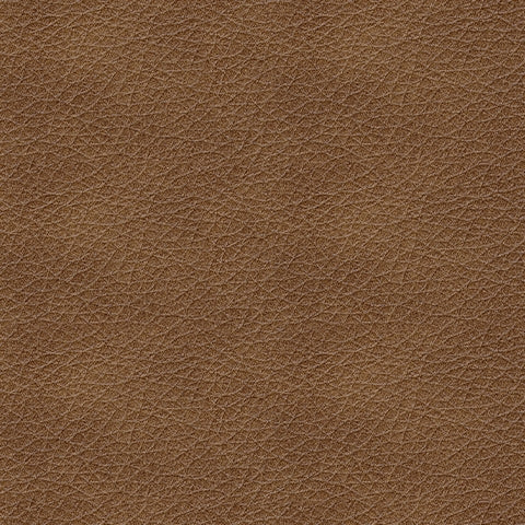 Bolsena Caramel Sofa and Loveseat