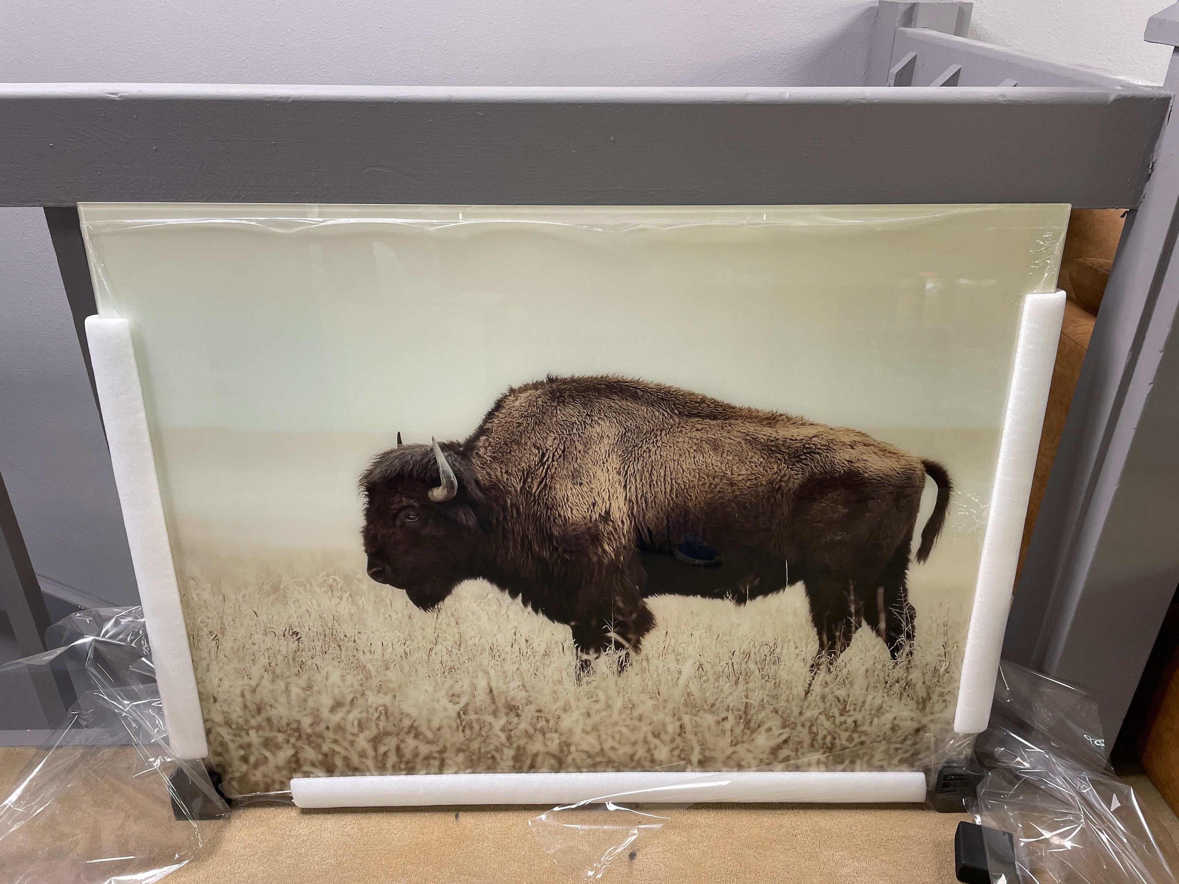 Brutus Wall Art