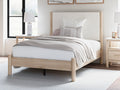 Cadmori Two-tone Full Upholstered Panel Youth Bed