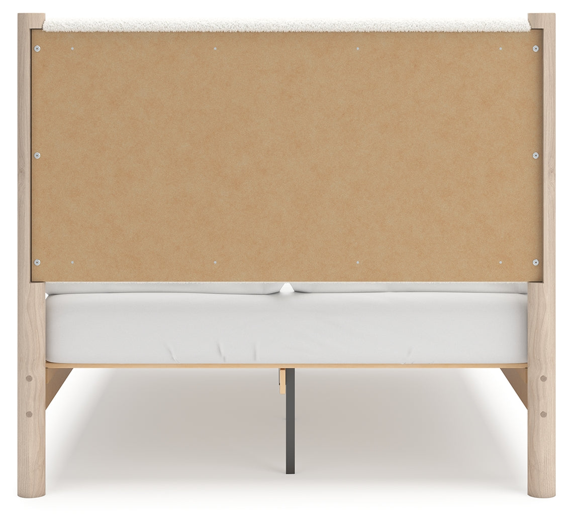 Cadmori Two-tone Full Upholstered Panel Youth Bed