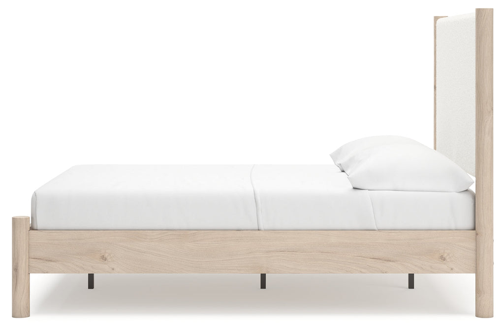 Cadmori Two-tone Full Upholstered Panel Youth Bed
