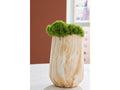 Cammen Tan/White Vase (10" H)