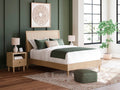 Cielden Two-Tone Queen Panel Bed