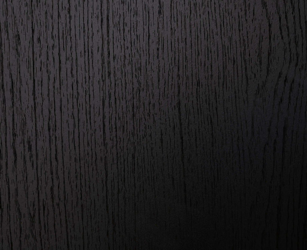 Danziar Black Queen Panel Bed