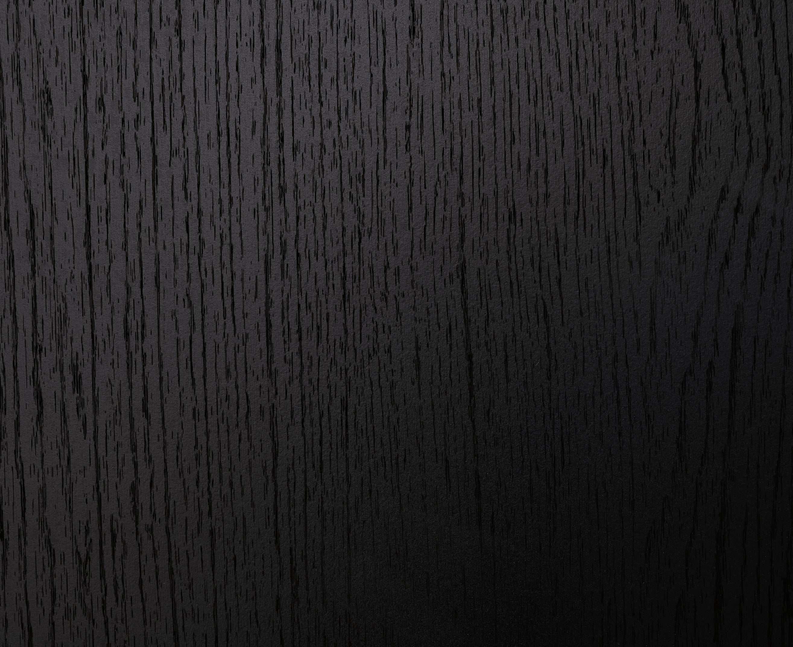 Danziar Black Queen Panel Bed