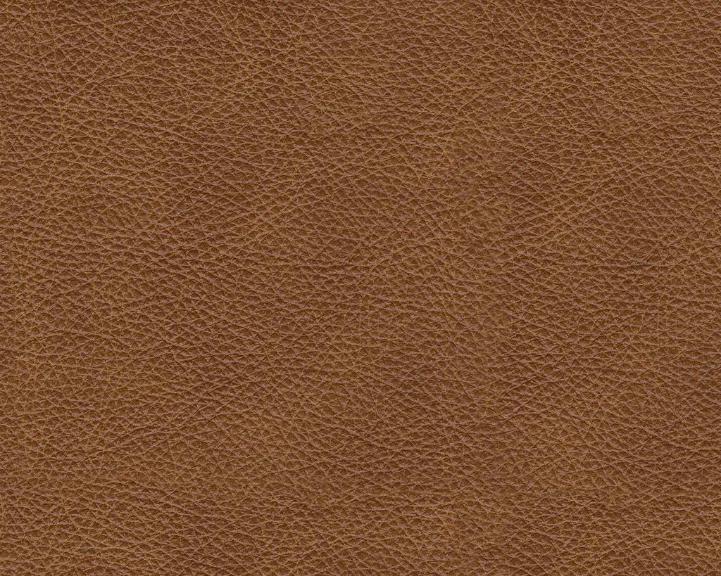 Emilia Caramel Leather 5pc Modular Sectional Living Room Set