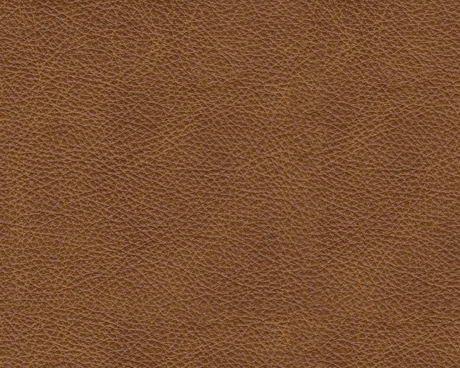 Emilia Caramel Leather 6pc Modular Sectional
