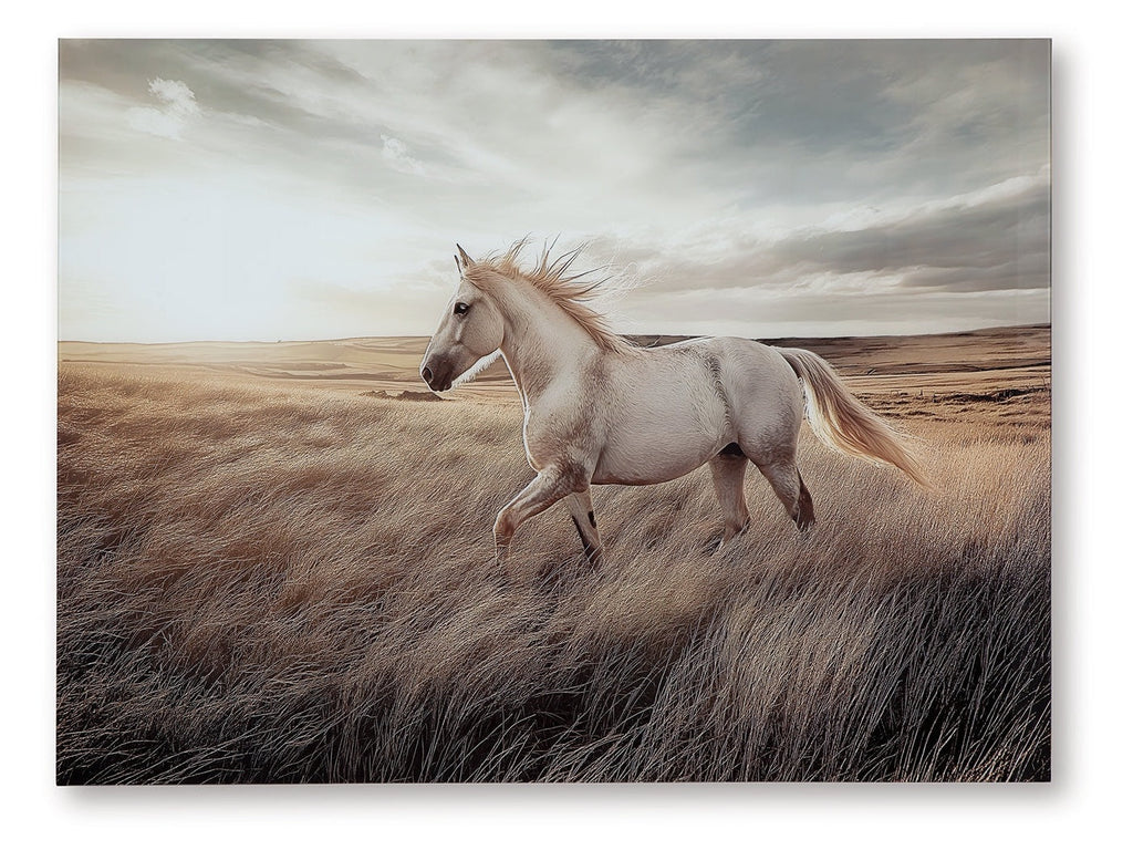 Errolville Multi Wall Art