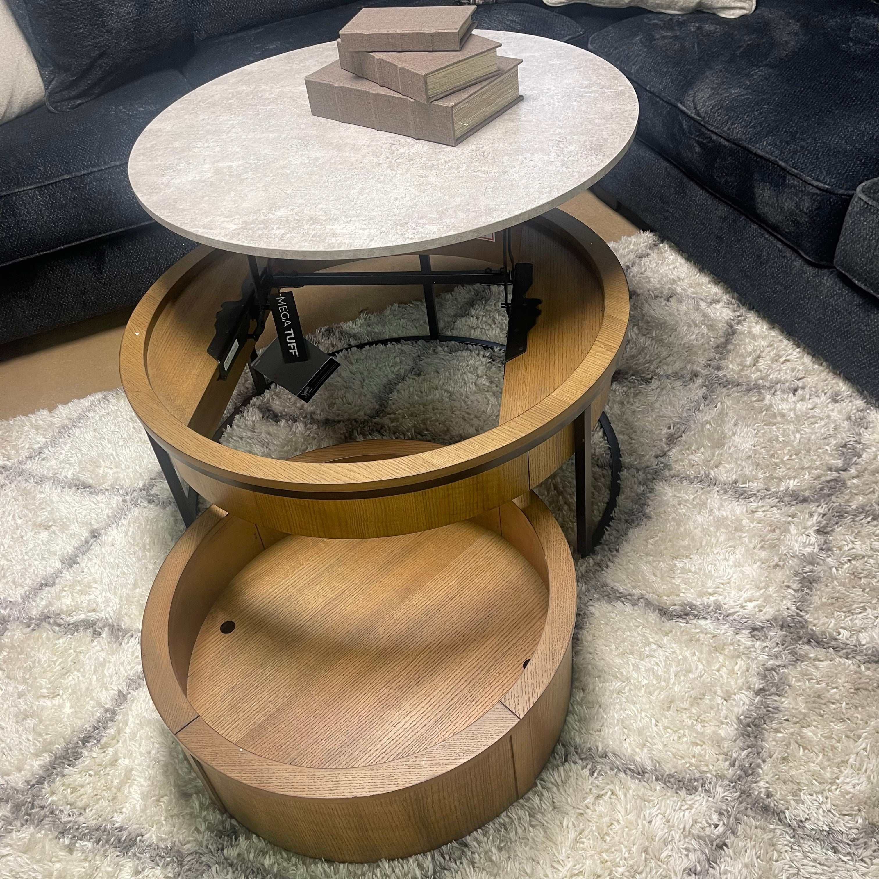 Fridley Nesting Lift Top Coffee Table & Storage Trunk (Set of 2)