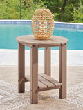 Grover Beach Driftwood Oval End Table
