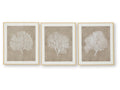 Hendridge Taupe/White Wall Art Set (Set of 3)