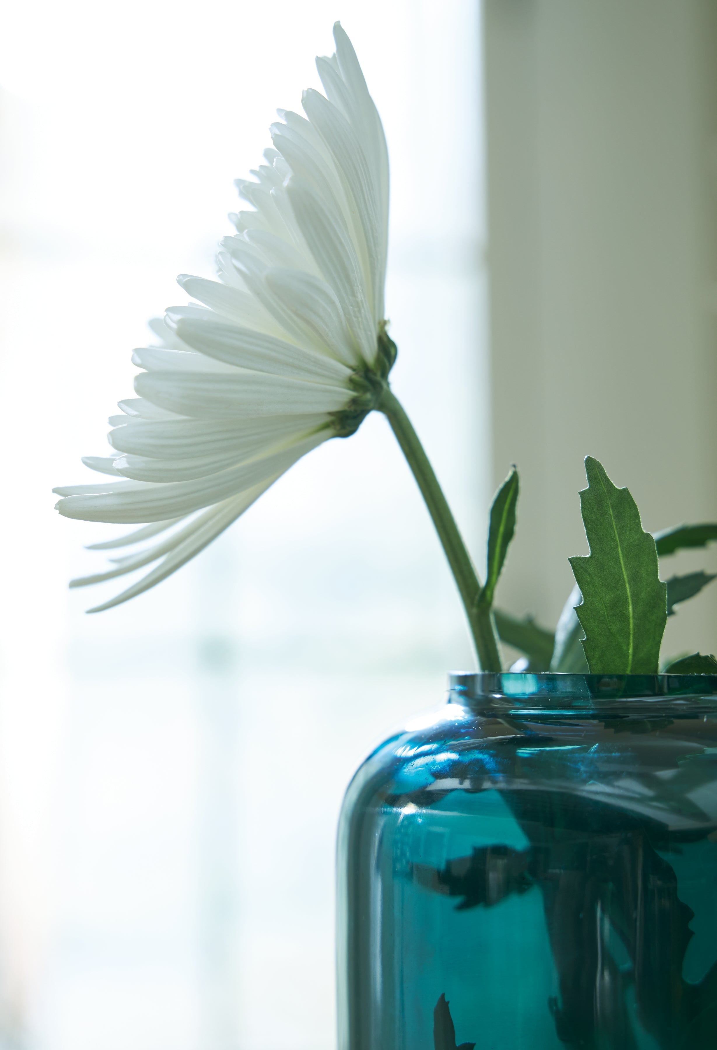 Inisland Teal Vase Set (Set of 2)