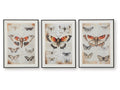 Jossletts Orange/Black/Ivory Wall Art Set (Set of 3)