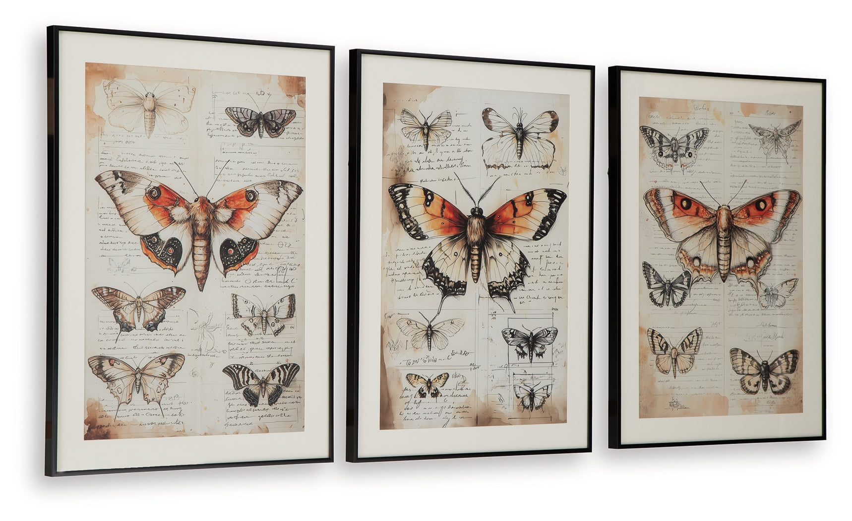 Jossletts Orange/Black/Ivory Wall Art Set (Set of 3)