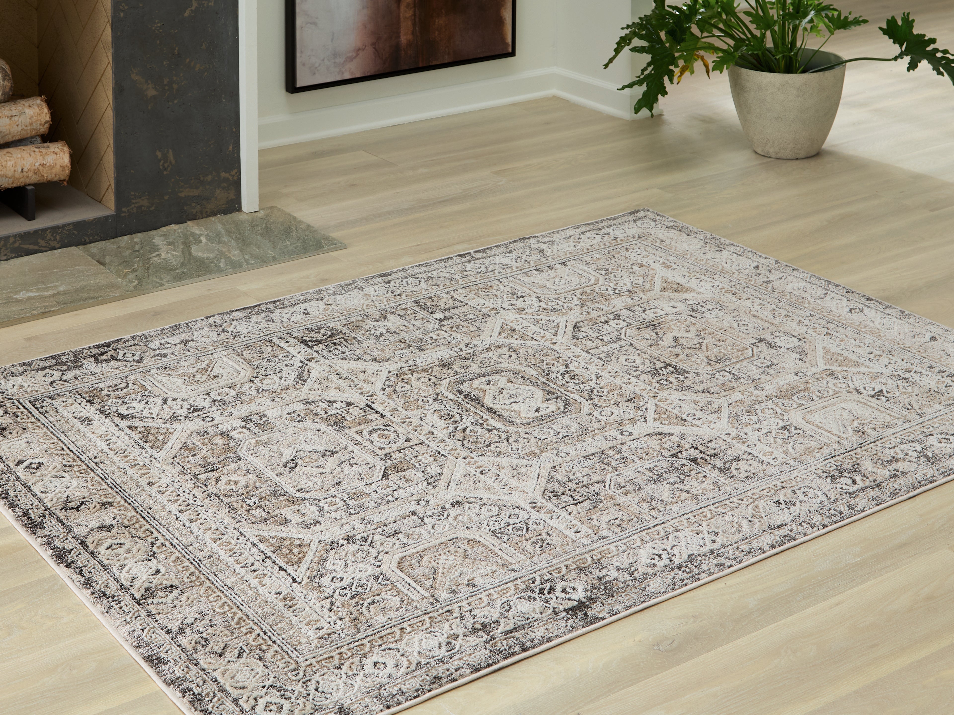 Junley Multi Medium Rug