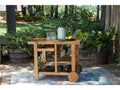 Kailani Light Brown Serving Cart
