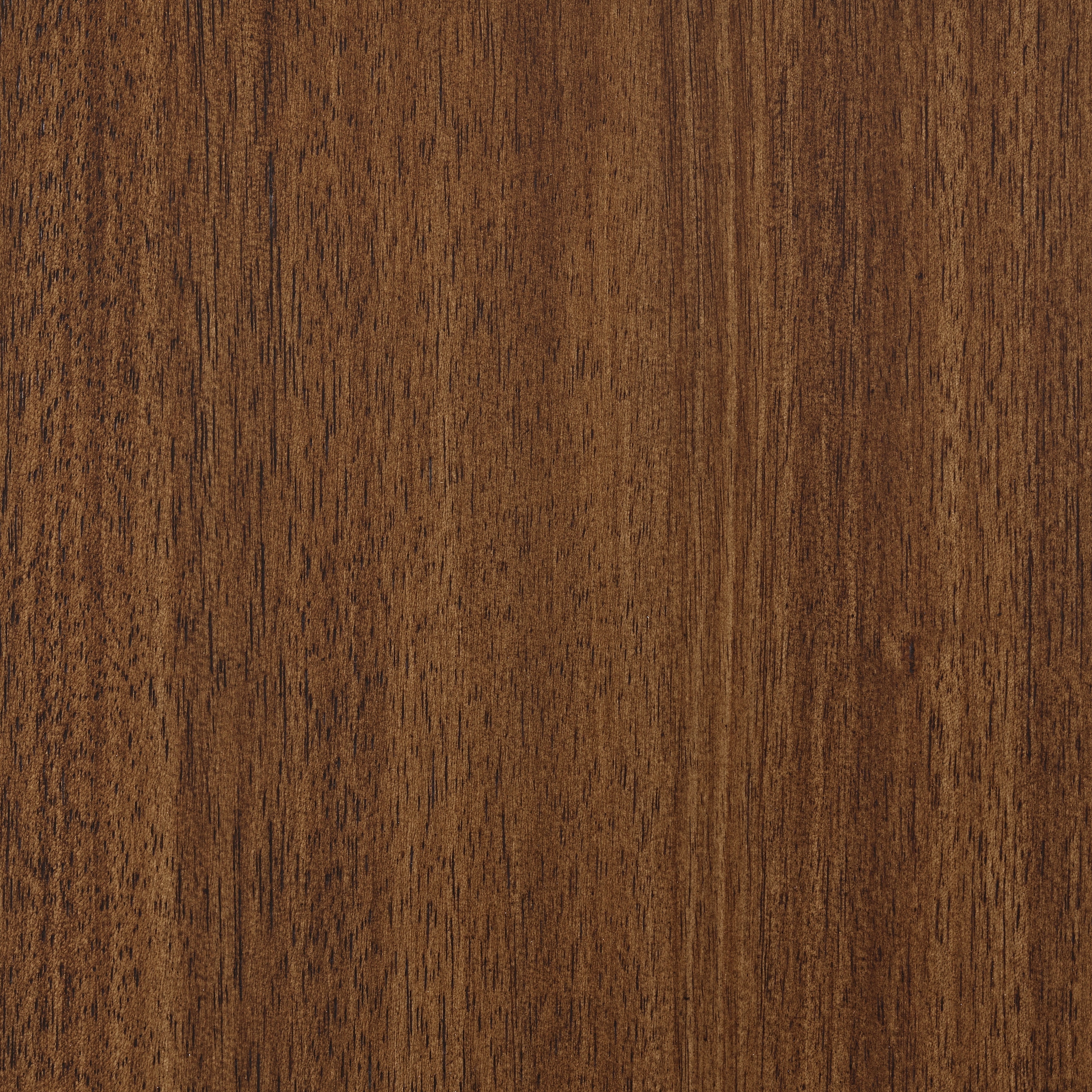 Lyncott Brown Dining Server