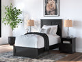 Maribel Black Twin Panel Youth Bed