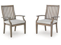 Rainier Ranch Brown/Beige Outdoor Arm Chair with Cushion (Set of 2)