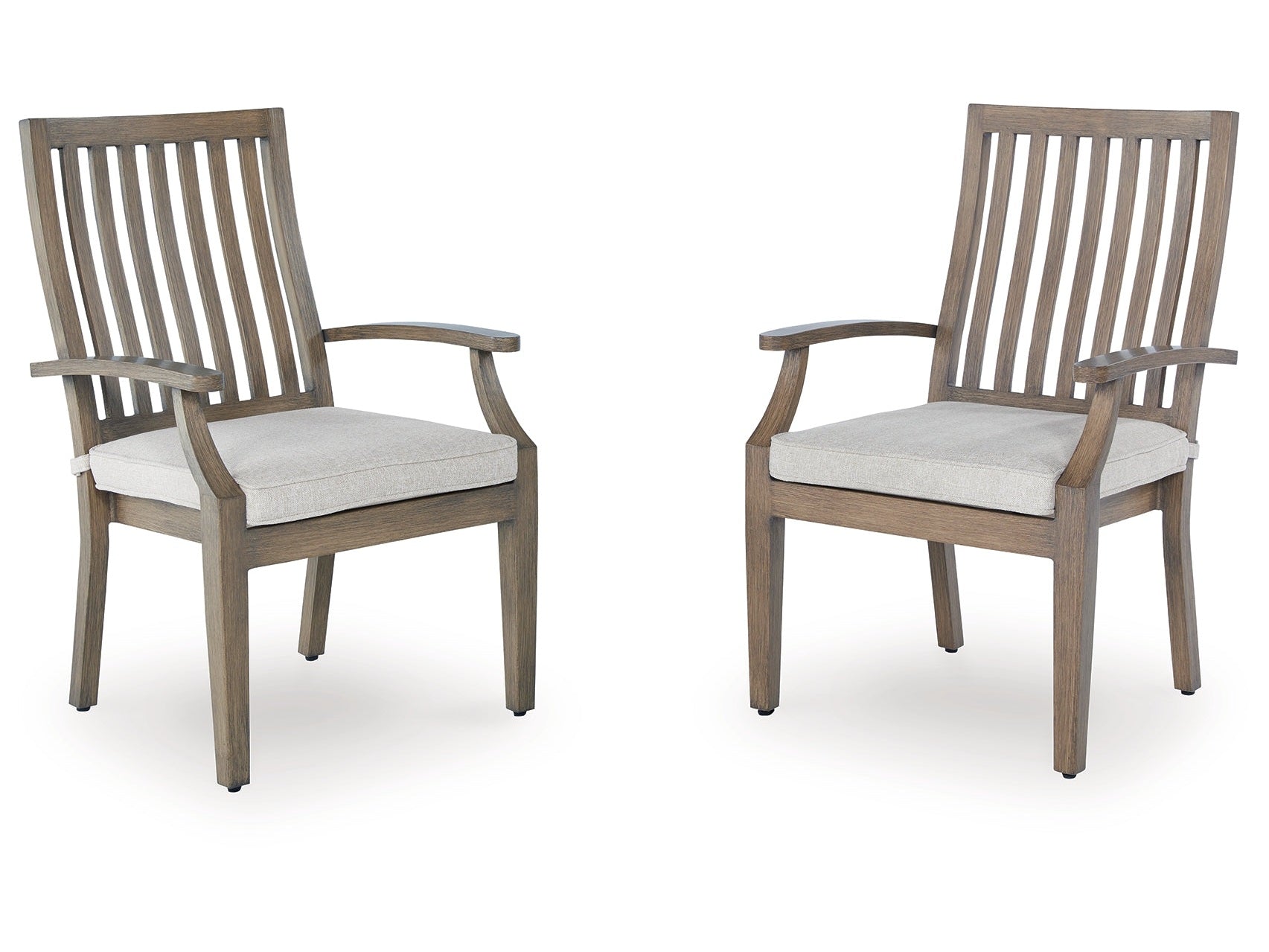Rainier Ranch Brown/Beige Outdoor Arm Chair with Cushion (Set of 2)