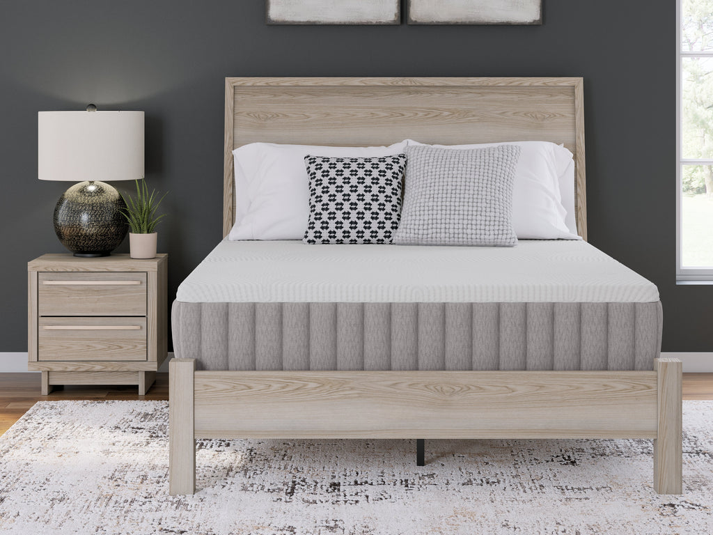 Terra Sleep Medium White California King Mattress