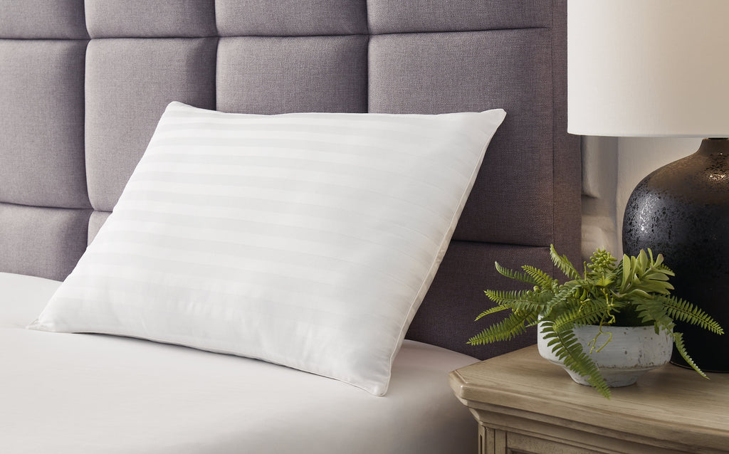 Zephyr 2.0 White Cotton Pillow (Set of 2)