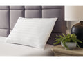 Zephyr 2.0 White Pillow (Set of 2)(9/Case)