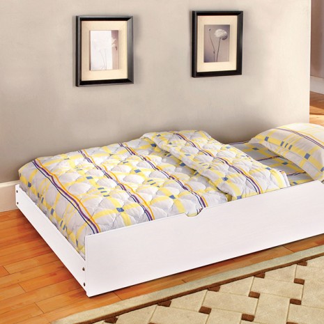 Omnus - Trundle w/ 2 Dividers