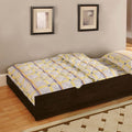 Omnus - Trundle w/ 2 Dividers