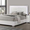 Sinistra - Bed